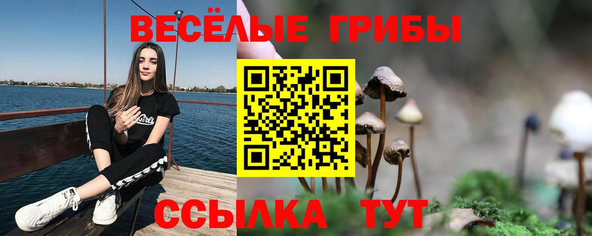 что такое наркотик  Вход с VPN  Псилоцибиновые грибы мухоморы  Кемерово  Псилоцибиновые грибы ЛСД 