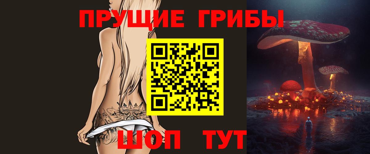 Галлюциногенные грибы Psilocybine cubensis Кемерово